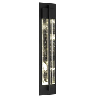 Frank 13.5 inch LED Wall Sconce