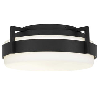 12 inch LED Ted Flush Mount