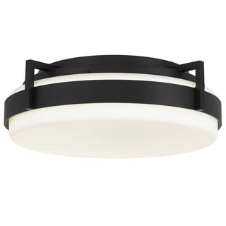 Ted Flush Mount 15 inch LED